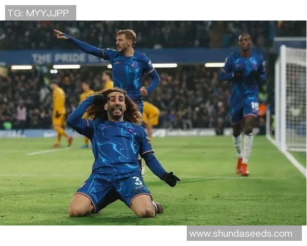 切尔西新援首秀绝杀，蓝军迎来命运转机