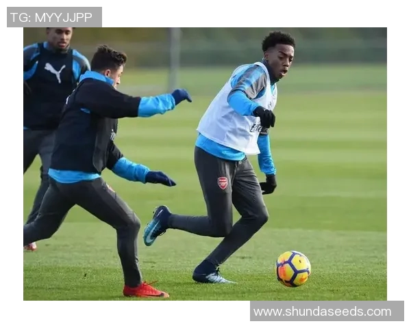 喜鹊主场实力强劲，胜过强敌云达不莱梅