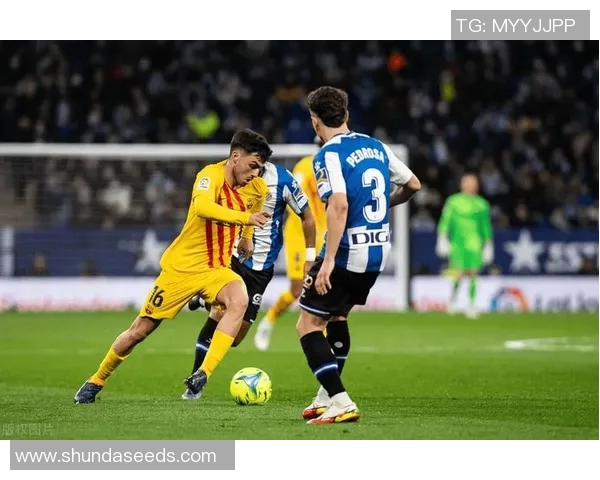 塞维利亚主帅透露球队将引进新前锋，力争争夺欧冠资格